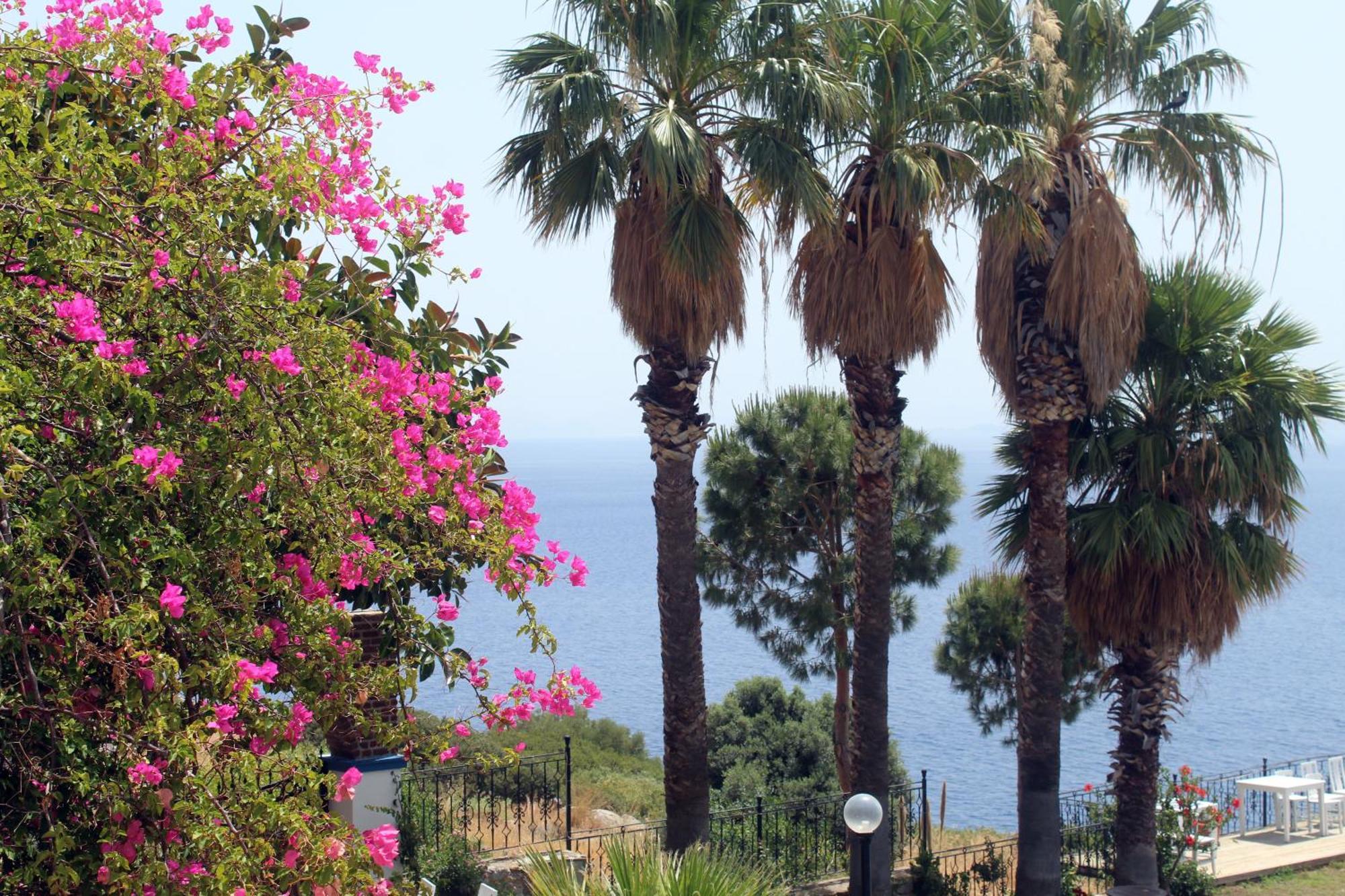 Datca Villa Carla Hotel Δωμάτιο φωτογραφία